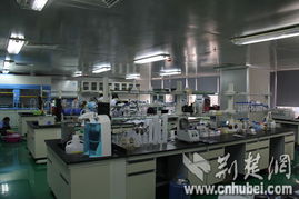 全國網媒采訪團光谷生物城感受生命科技奧妙