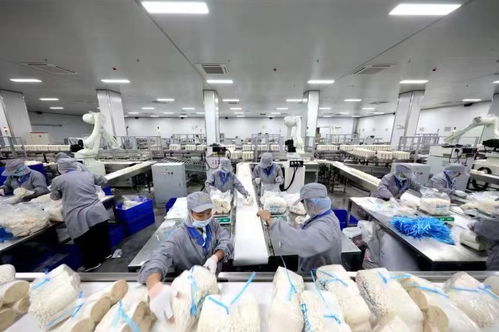 日產金針菇160噸 鄒城小蘑菇撐起群眾致富傘丨高質量發展調研行 生物科技
