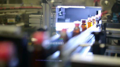 兩人的智慧工廠 生物科技重塑制造業未來